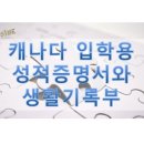 공인나인번역행정사사무소 이미지