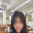 데일리수 이미지