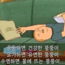 엠핏