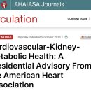 문치연 주목 새로운 용어 CKM -비만, 당뇨, 인슐린 저항성, 심혈관질환, 단백뇨 증후군. 2024 네이처 이미지