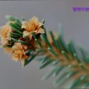 엠케이카써비스 이미지