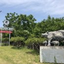 마교리마을회관 이미지