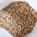 민이농장 이미지