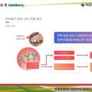 멍냥동물병원 이미지