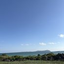 우도사랑민박 | 제주 올레길 1-1 우도 배 타는법 꿀팁 카페 추천 기념품