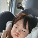 바다숨소리 | 15개월 아기랑 여행 속초 바다와 함께 했던 추억 남기기