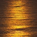 학교사회복지론 이미지