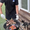 개리비안베이 | 태안 애견펜션 개리비안베이, 강아지와 수영 가능