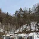 오차드지평 | 지평맛집] 내돈내산 강추 최대 8인 몸만 가면 되는 숲속 프라이빗 셀프바베큐장 지평오차드 겨울 방문 후기