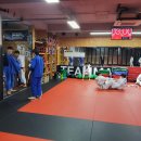 팀 매드 이미지