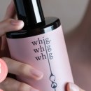 바디와이즈 이미지