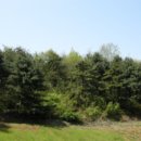 11500-13-51-06 이미지