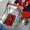 강부자 농장 이미지