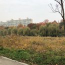 개포3-106 이미지