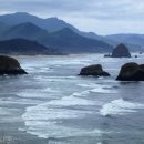 삼진행정사사무소 이미지