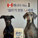 소다펫 | [강아지 고양이 세제]캐나다 1등 세제브랜드 넬리 포우 파우더 펫 세탁세제 후기