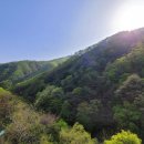 온가족 놀이터 이미지