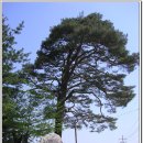 횡성휴게소(상) 이미지