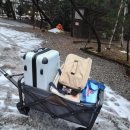 파인빌펜션 | [가평] 파인 포레스트 펜션 글램핑 키비 1 프라이빗 한 글램핑 불멍하기좋은 숙소 후기