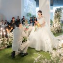 다르미앙 이미지