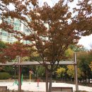 소만공원 이미지