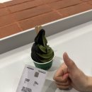 수원-0226 이미지