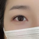 데이브로우