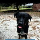 지 동물병원 이미지