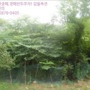 내서읍146 이미지