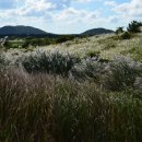 애드타임하우스 이미지