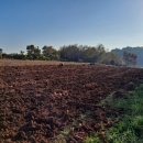 주영농산 이미지