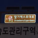 엑스포대로 대전일보