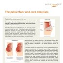 ＜나눔자료-2013-12-06＞ 골반저근과 코어트레이닝..!!! 너무나 중요한 개념 / Pelvic Floor &amp; Core Training 이미지