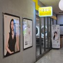 견을위해 자연을 담다 | [분당] 너를담다스튜디오 아기 첫 증명사진 찍어주기 좋은 사진관!!