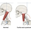 성모탑정형외과의원 이미지