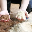 미듬 목장 이미지