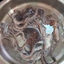 난지펜션 이미지