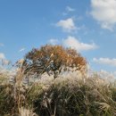 구불2-1길(미소길) 이미지