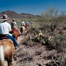 카우보이 이미지