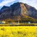 창천중앙로 이미지