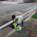 조나단 민박 이미지