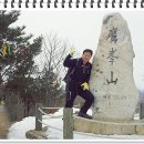 도전농장 이미지