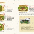 원준이네인삼밭