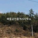 금당면-3 티스토리