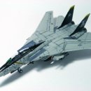드래곤 F-14B &amp; F/A-18F VFA-103 Jolly Rogers "Memorial Flight" 이미지