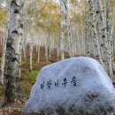 늦가을 감성여행... 1부 / 김천 치유의 숲 (녹색수도 모티길 일부) & 청암사 이미지