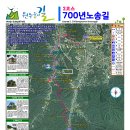 원주굽이길 2코스 700년노송길 이미지