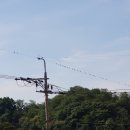 북후면보건지소 이미지