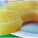 서면의숲 이미지