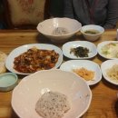 이박사쭈꾸미 Daum카페